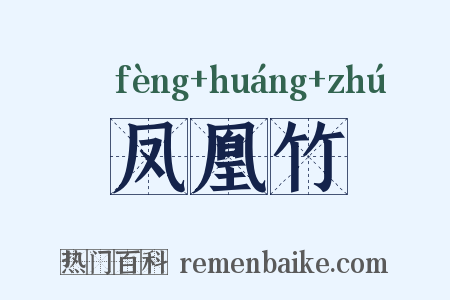 凤凰竹是什么意思的图片